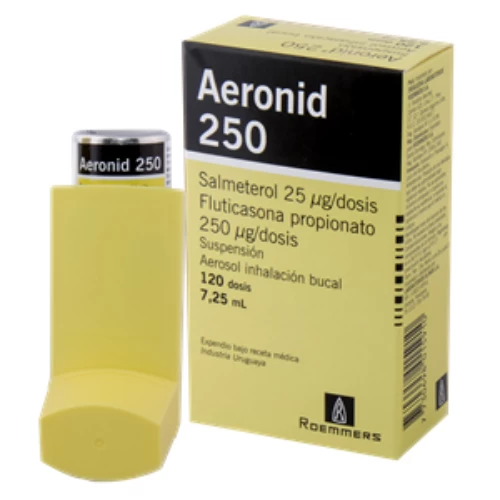 AERONID 250 UG 120 DOSIS 7,25 ML - SALMETEROL25/250FLUTICASONA