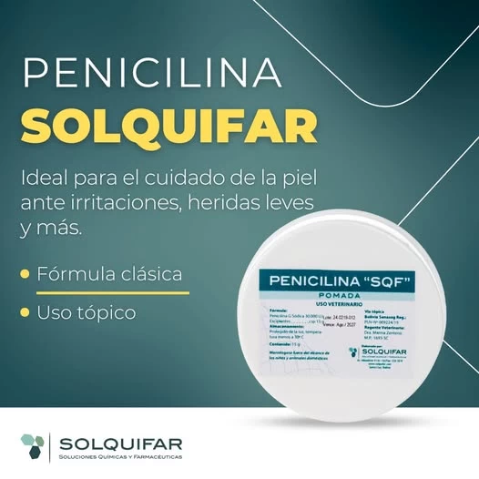 POMADA PENICILINA X 14 GRS SOLQUIFAR