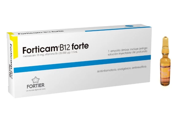 FORTICAM B12 FORTE X 10 AMP (MELOXICAM 15MG+VIT B12 25000 /3ML)